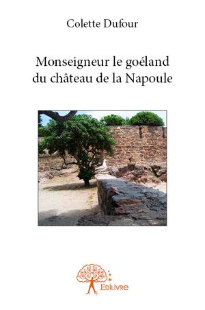 Couverture de livre