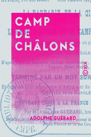 image-description