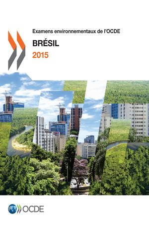 image-description